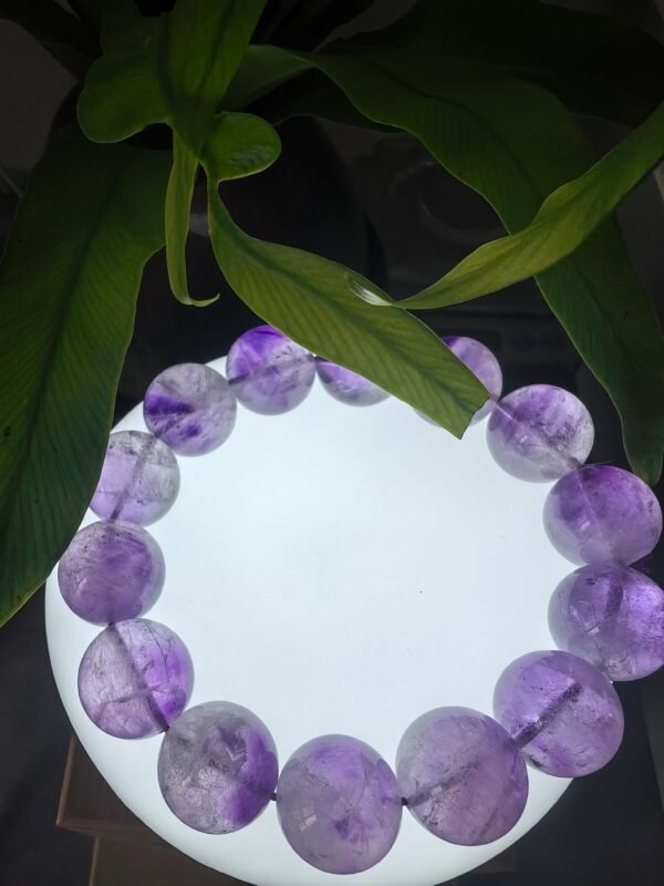Lavender purple nine sons from the fire - Image 3