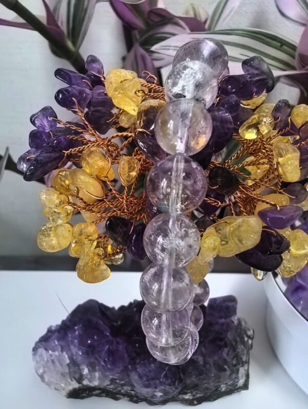 Purple crystal purple 7
